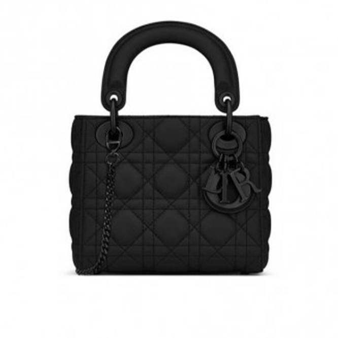 DIOR  MINI LADY BAG M0505SLOI_M989 (17cm*15cm*7cm)